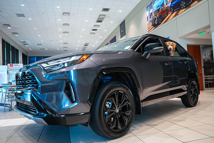 Toytoa%20RAV4%20Pet%20Friendly%20Vehicle%20Hendrick%20Cars.jpg