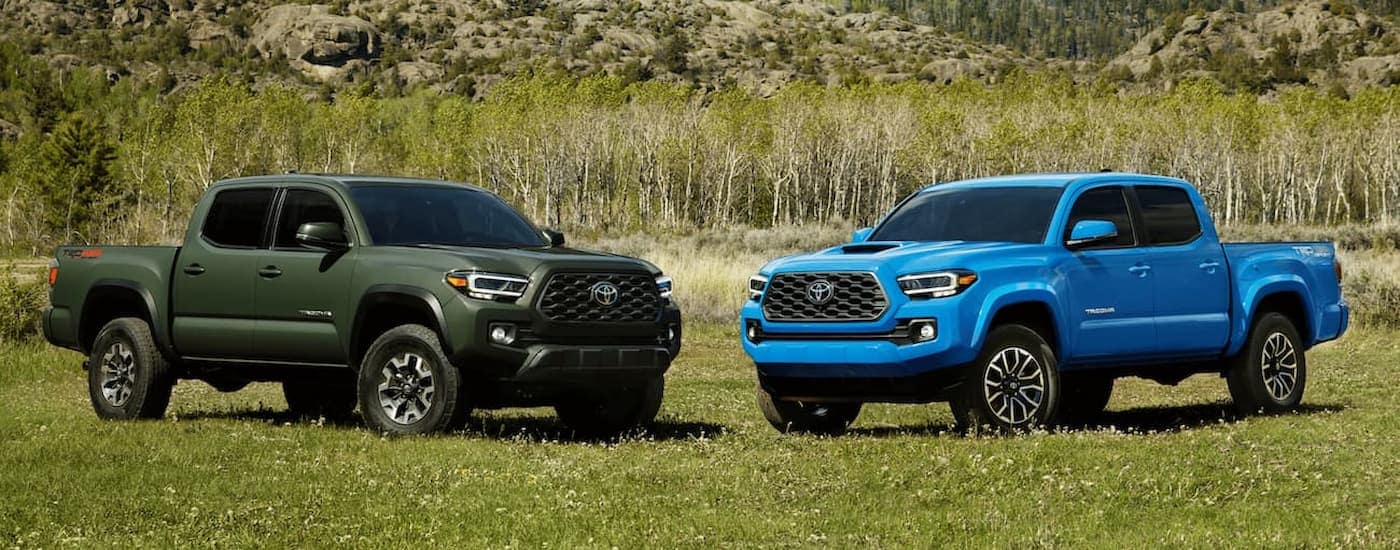 A blue and a green 2021 Toyota Tacoma are parked in a grassy field.