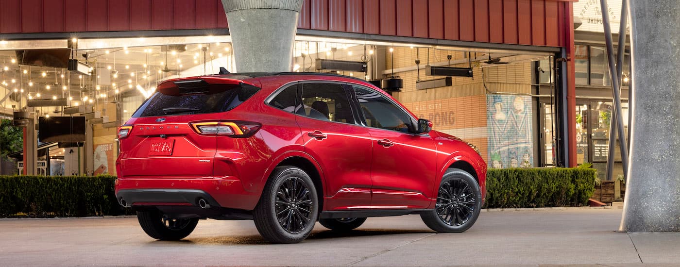 A red 2024 Ford Escape is shown from the rear at an angle.